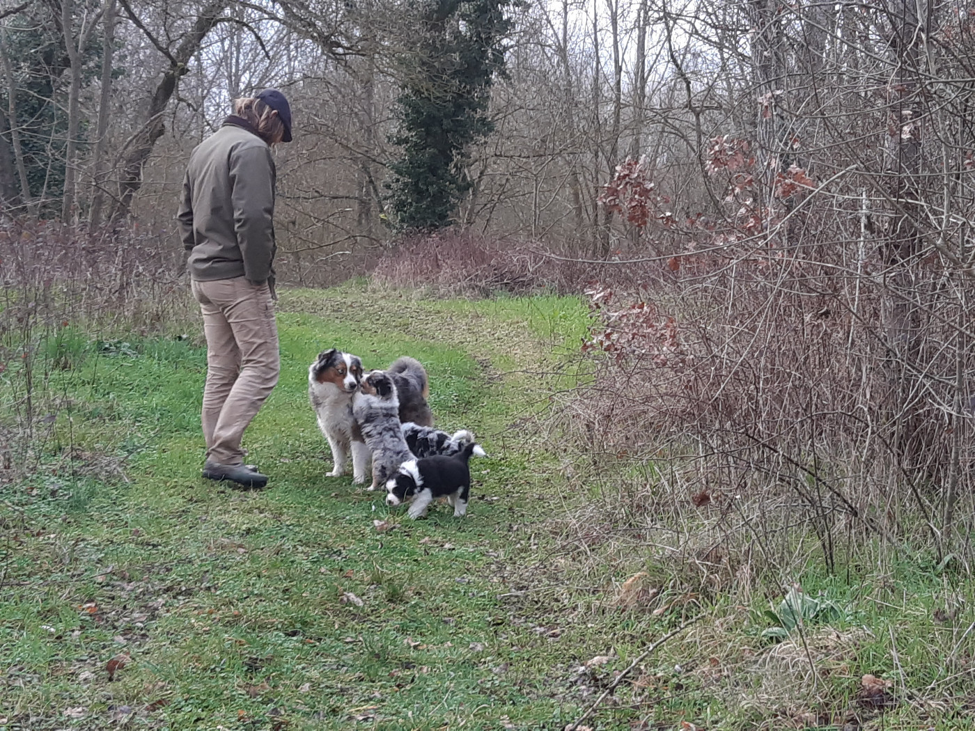 Première sortie en voiture