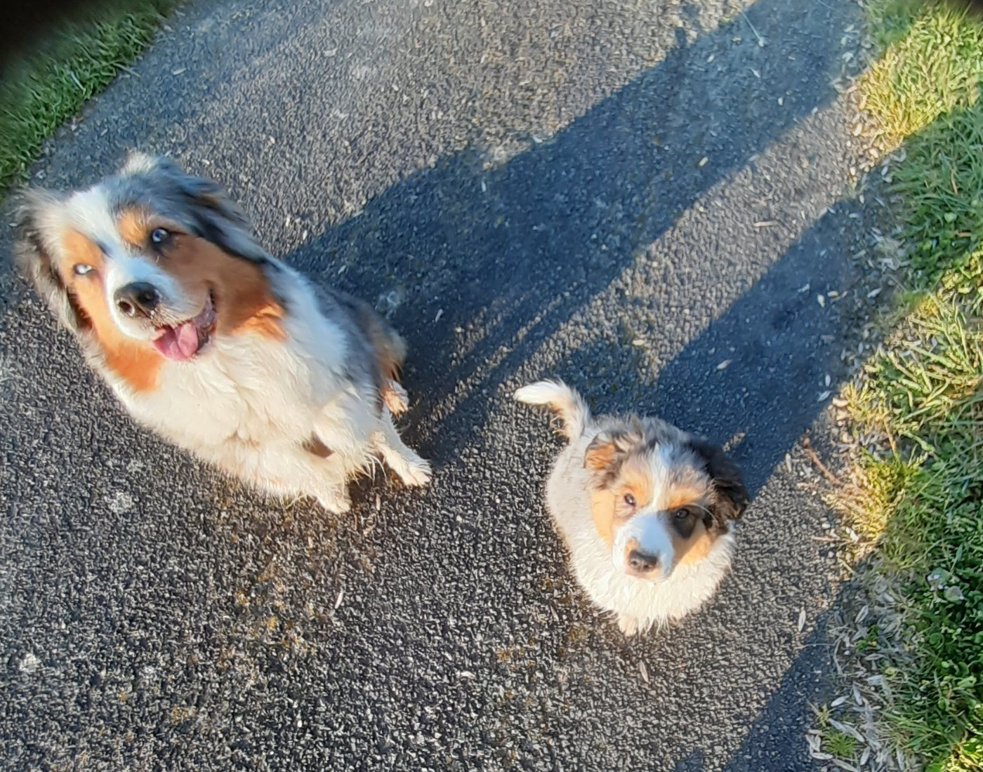 Vers de nouvelles aventures?